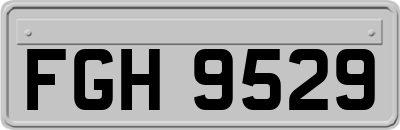 FGH9529