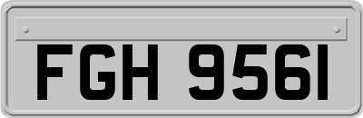FGH9561