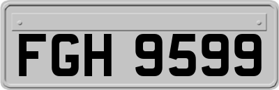 FGH9599