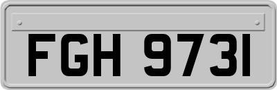 FGH9731