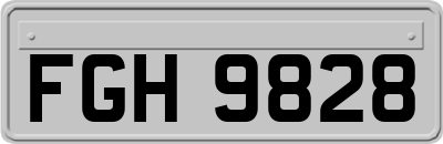 FGH9828