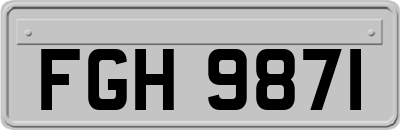 FGH9871