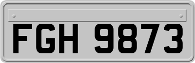FGH9873