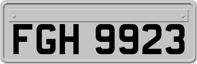 FGH9923