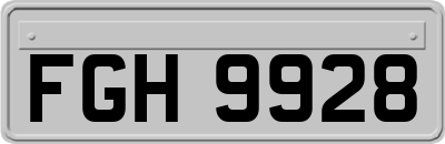FGH9928