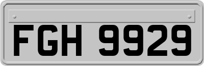 FGH9929