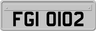 FGI0102