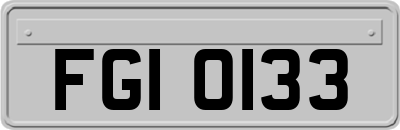 FGI0133