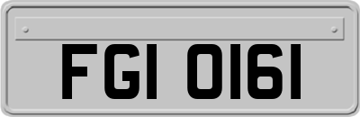 FGI0161