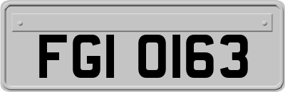 FGI0163