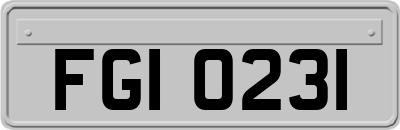 FGI0231