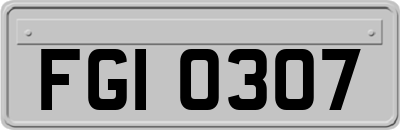 FGI0307