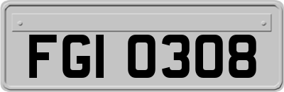 FGI0308