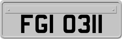 FGI0311