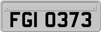 FGI0373