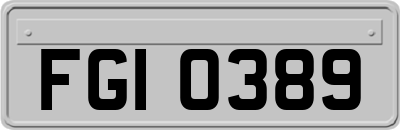 FGI0389