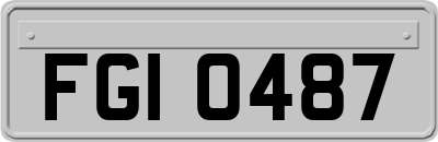 FGI0487