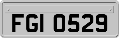 FGI0529