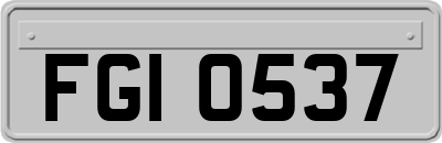 FGI0537