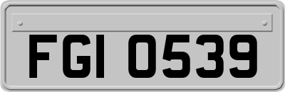 FGI0539