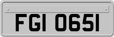 FGI0651