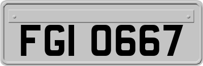 FGI0667