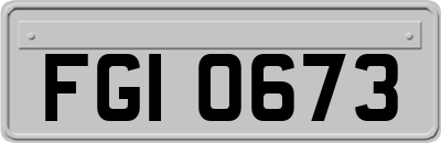FGI0673