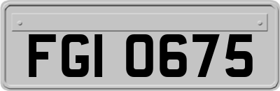 FGI0675