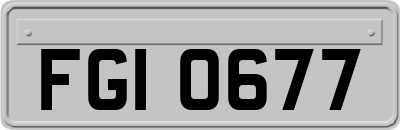 FGI0677