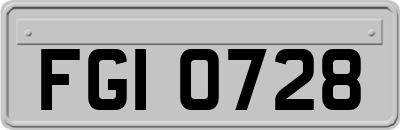 FGI0728