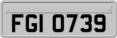 FGI0739