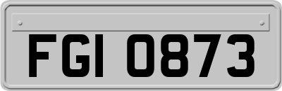 FGI0873