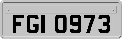 FGI0973