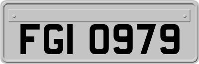 FGI0979