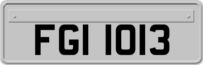 FGI1013
