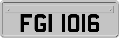 FGI1016