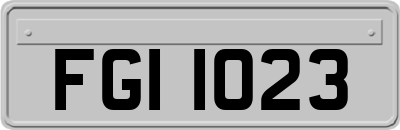 FGI1023