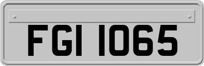 FGI1065