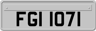 FGI1071