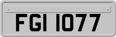 FGI1077