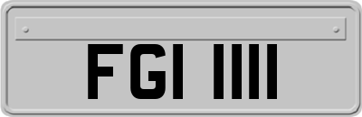 FGI1111