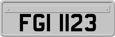 FGI1123