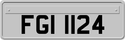FGI1124