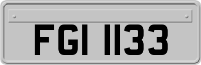 FGI1133