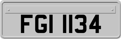 FGI1134