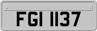 FGI1137