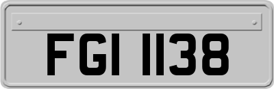 FGI1138