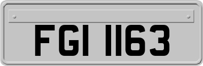 FGI1163