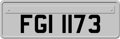 FGI1173