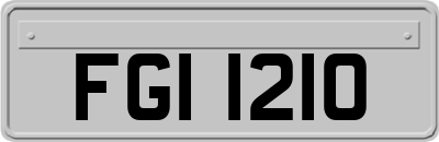 FGI1210